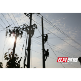 沅陵县供电公司:特巡护航保供电 温暖过冬守民生