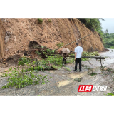 通道:党建引领办实事 清理路障保畅通