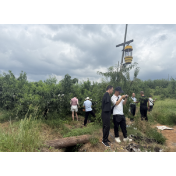 汇聚“新”力量，共绘“兴”画卷 ——铜湾镇召开新媒体人士座谈会