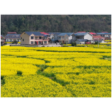 中方县：雨歇天晴 春光无限好