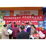 溆浦均坪镇开展全民国家安全教育日暨反非法集资、反电诈集中宣传活动