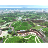 培育冰糖橙生产示范样本  麻阳3000亩示范园启新程