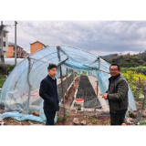 麻阳农商银行：护航春耕助育苗 精准放贷促增收