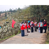 春风拂铁坡 梨花绽芳华——中方县铁坡镇第四届梨花观赏周迎来核心盛景