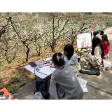 近万亩梨花作课堂！怀化学院62名师生把写生课上到乡村振兴一线