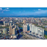 市政府召开常务会议