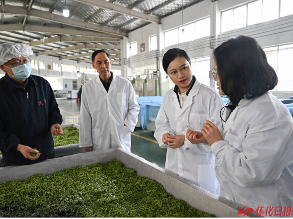 韦朝晖在沅陵调研