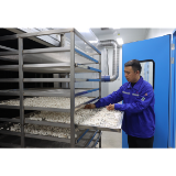 修正药业靖州生物医药项目进入试生产阶段 茯苓精深加工开启新篇