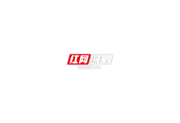 溆浦县税务局：税收帮扶入企  助力纾困增效