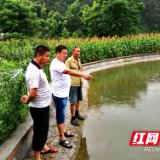 记者探访脱贫路 | 新宁永安村：不忘初心抓党建  勤勉务实为脱贫