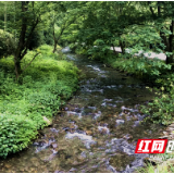 新宁县靖位乡持续发力做好河道保护工作