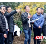 新宁黄龙镇：河道生态防洪提上议程
