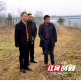 洞口：做好生态保护工作 稳步改善生态环境质量