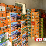 新宁邮政助力崀山脐橙“飞”向全国各地