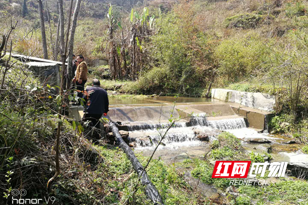 图片1.png 图片1.png