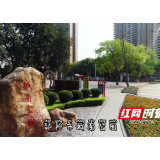 视频 | “疫”去春来：邂逅春天之邵阳城南公园