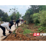 邮储银行新宁县支行：开展全民义务植树 共建森林城市活动