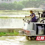 新邵:“种粮大户”忙春耕