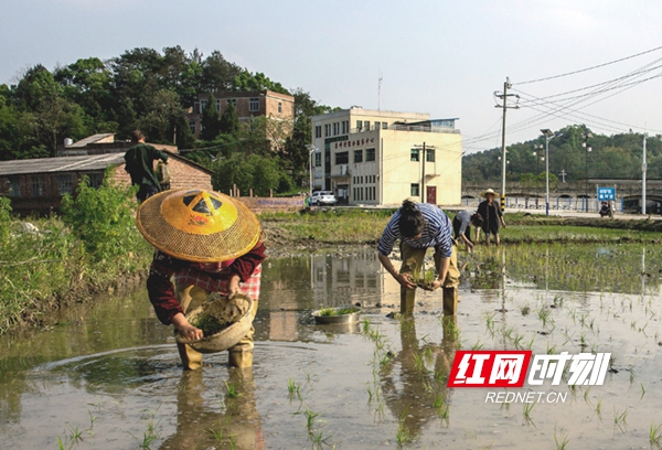 微信图片_20200417162543.jpg 微信图片_20200417162543.jpg