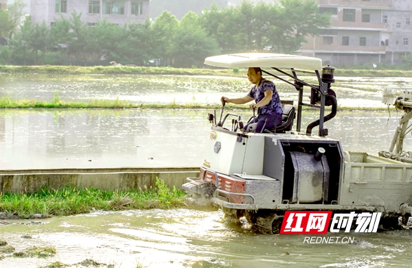 微信图片_20200417162532.jpg 微信图片_20200417162532.jpg