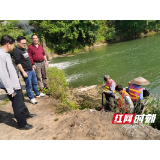 邵东火厂坪镇履行河库职责巡查河流水库
