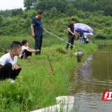 新邵渡头桥村：龙虾养殖助民富