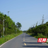 邵阳县岐山村的“康庄大道”