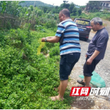 双清区市场监督管理局严厉打击野生动物违法交易