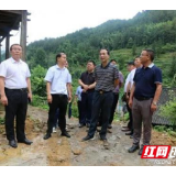 城步：杨博理督导乡镇防汛工作