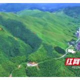 省林科院专家“组团”为新宁产业发展“把脉”支招