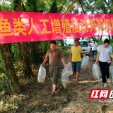新宁黄龙镇：开展鱼类人工增殖放流 促进水域生态平衡