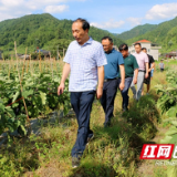 城步：杨博理深入白毛坪、兰蓉督导脱贫攻坚和河长制工作