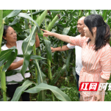 王斌旭：发展产业铺就脱贫路