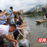 洞口县开展“增殖放流”护河行动