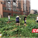 大祥区百春园街道开展自查自纠巩固创卫成果