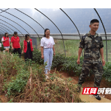 城步民政局组织社工进军营 谱写拥军爱民曲