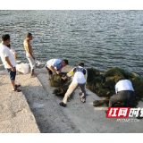 新宁县开展禁捕专项整治行动