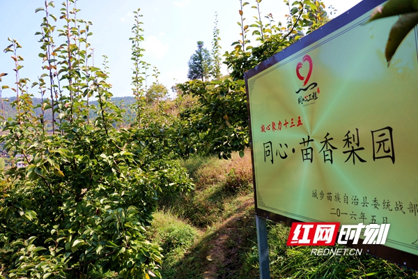 微信图片_20200924104126.jpg