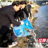 绥宁：为巫水河注入新的生态平衡