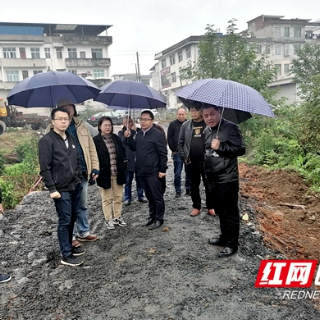 省河长办第三方评估组到新宁黄龙镇检查河长制工作