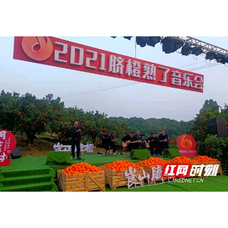 新宁：“脐橙熟了音乐会”果农的文化盛宴