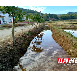 新宁丰田乡样板河焕新颜
