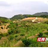 脱贫攻坚典型样板村丨新宁大塘村：着力打造产业脱贫的大塘模式