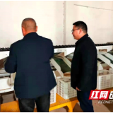 新宁县黄龙镇：常态化“打非治违”工作筑牢安全防线