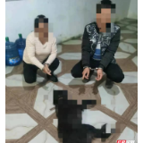 隆回羊古坳派出所深夜抓获一对"鸳鸯"偷狗盗贼