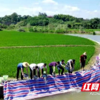 邵东市深化河长制 开展2021年度增殖放流活动