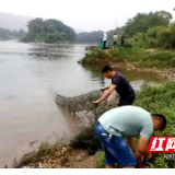 我为群众办实事 | 新宁县开展非法捕捞巡查行动