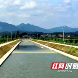 洞口：小河沟蝶变“幸福河”