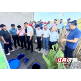 城步:推进“一拆二改三清四化”,建设生态宜居美丽苗乡