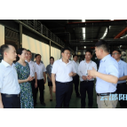 邵阳：发挥企业项目资源优势 全力做强配套产业链条